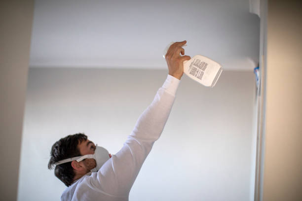 Best Post-Flood Mold Remediation in Rolling Meadows, IL