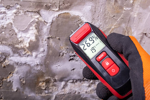 Reliable Rolling Meadows, IL Mold Remediation Solutions