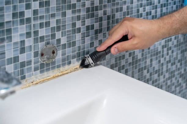 Best Basement Mold Remediation in Rolling Meadows, IL